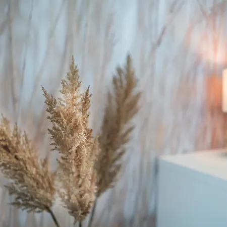 Διαμέρισμα Myflat Wave Σίοφοκ